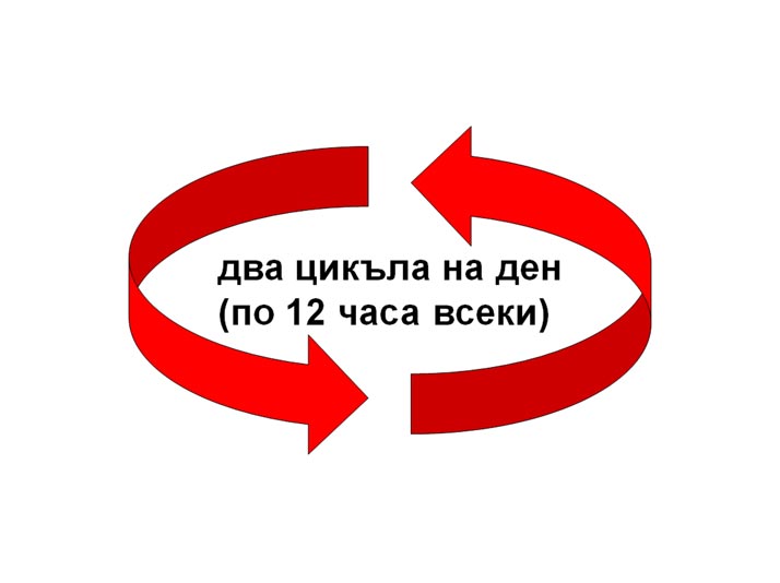 One2Clean - системата прави два цикъла на ден